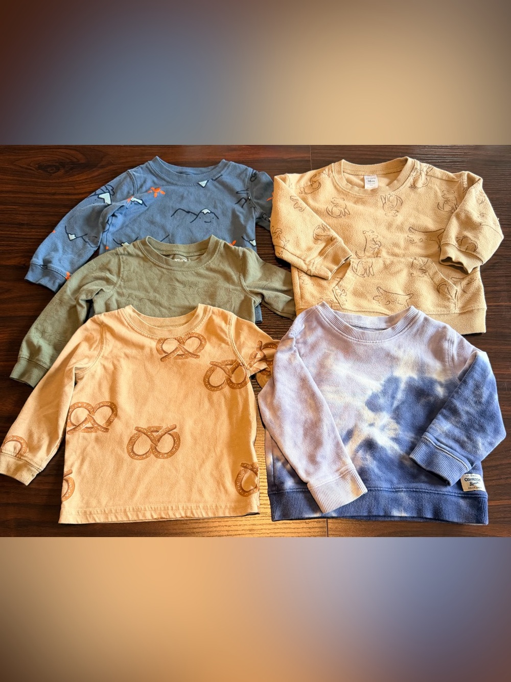 Lot 5 Toddler Boy Long Sleeve Shirts Sweatshirts Carters OshKosh Bundle 18M-24M